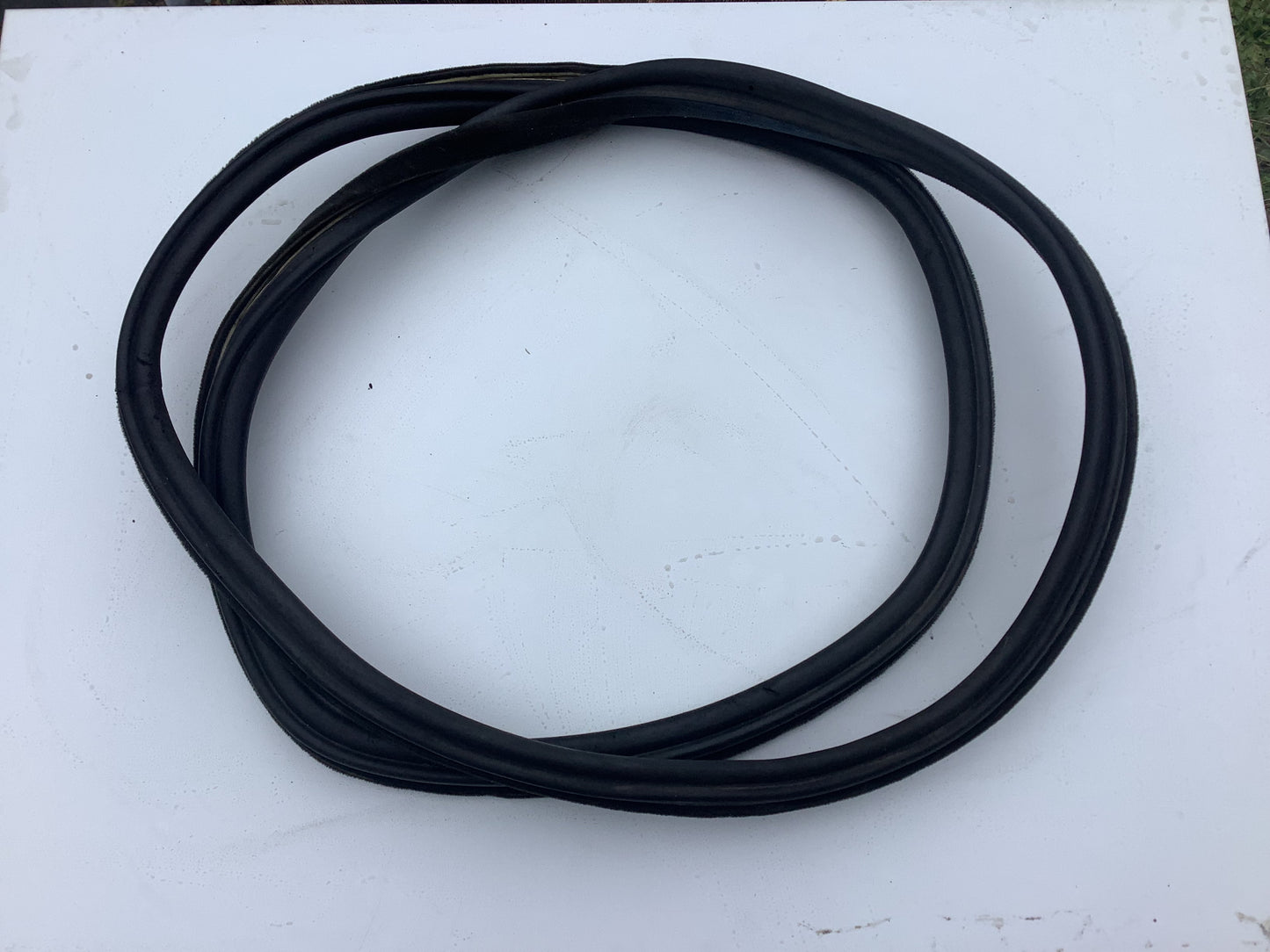 Passenger Rear Door Seal Right 857831722