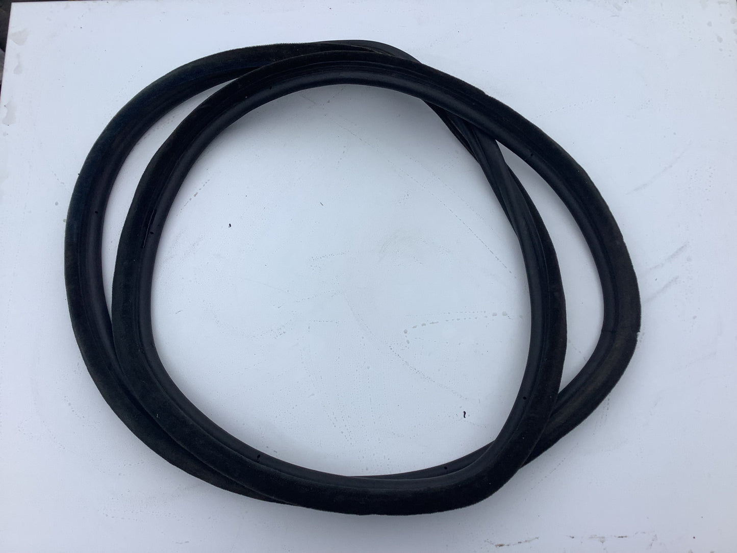 Passenger Rear Door Seal Right 857831722