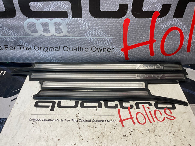 Door Sill Aluminum Trim Plates 441853757 441853758 D1