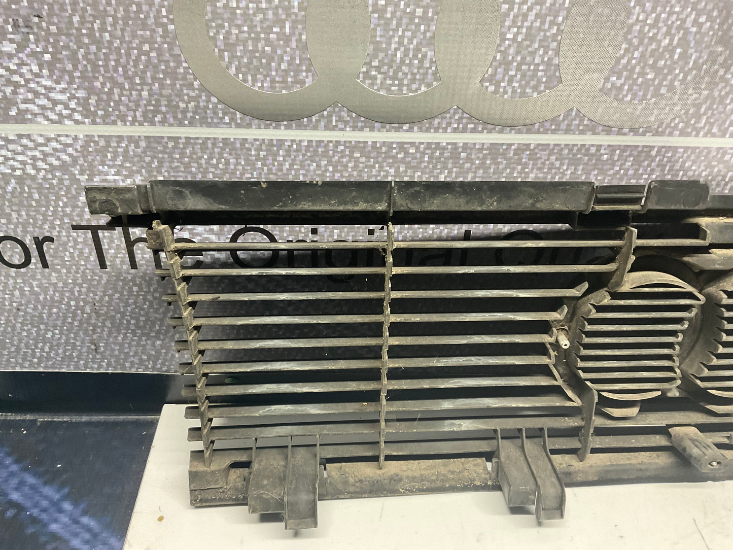 Front Quattro Grill & Rings 811853655C B2 UrQ