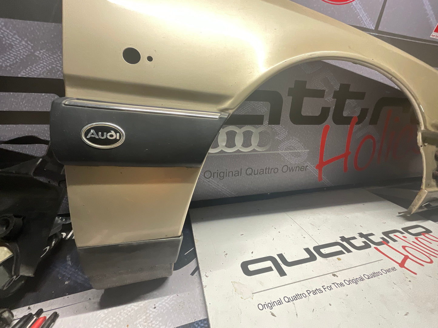 Passenger Fender Right 447821106D  C3  20V