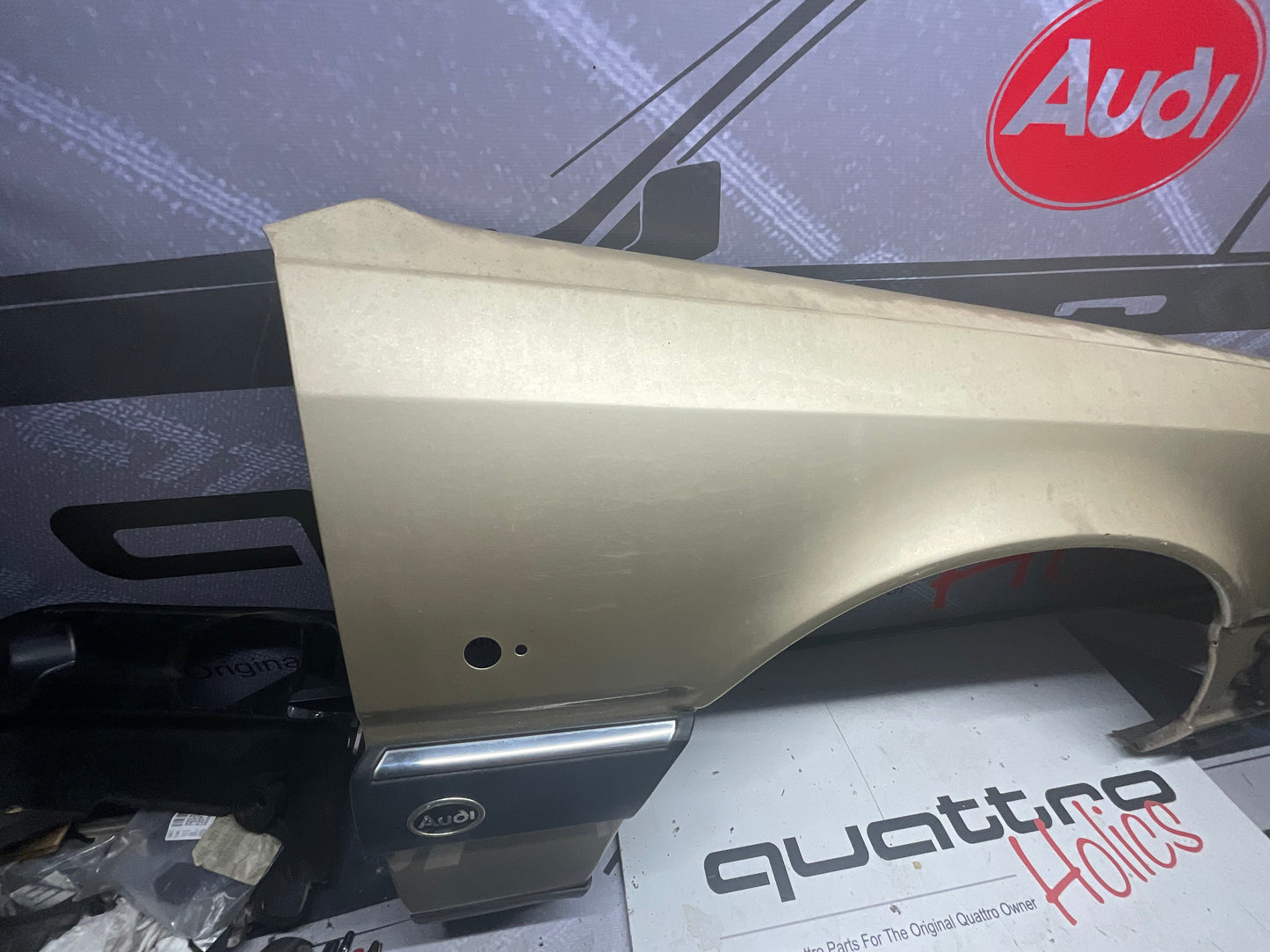 Passenger Fender Right 447821106D  C3  20V