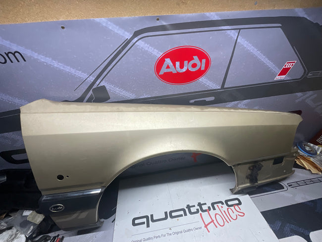 Passenger Fender Right 447821106D  C3  20V