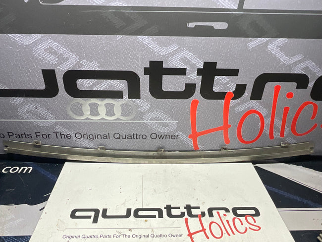 Front Bumper Center Top Metal Trim 811807243C  B2