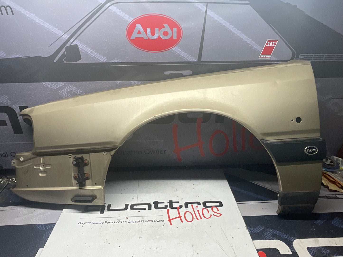 Driver Fender Left 443821105B  C3  Bamboo