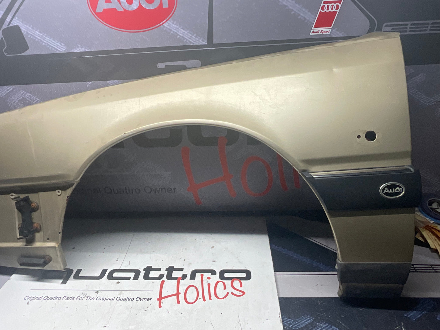 Driver Fender Left 443821105B  C3  Bamboo