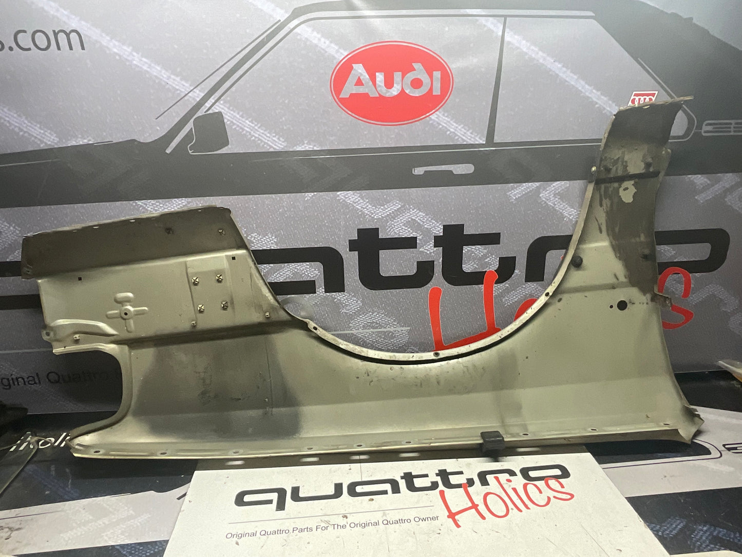 Driver Fender Left 443821105B  C3  Bamboo