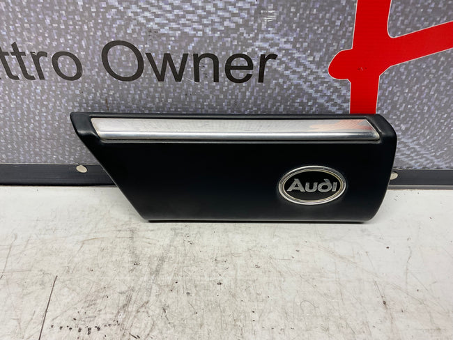 Driver Fender Molding Left 447853971  C3