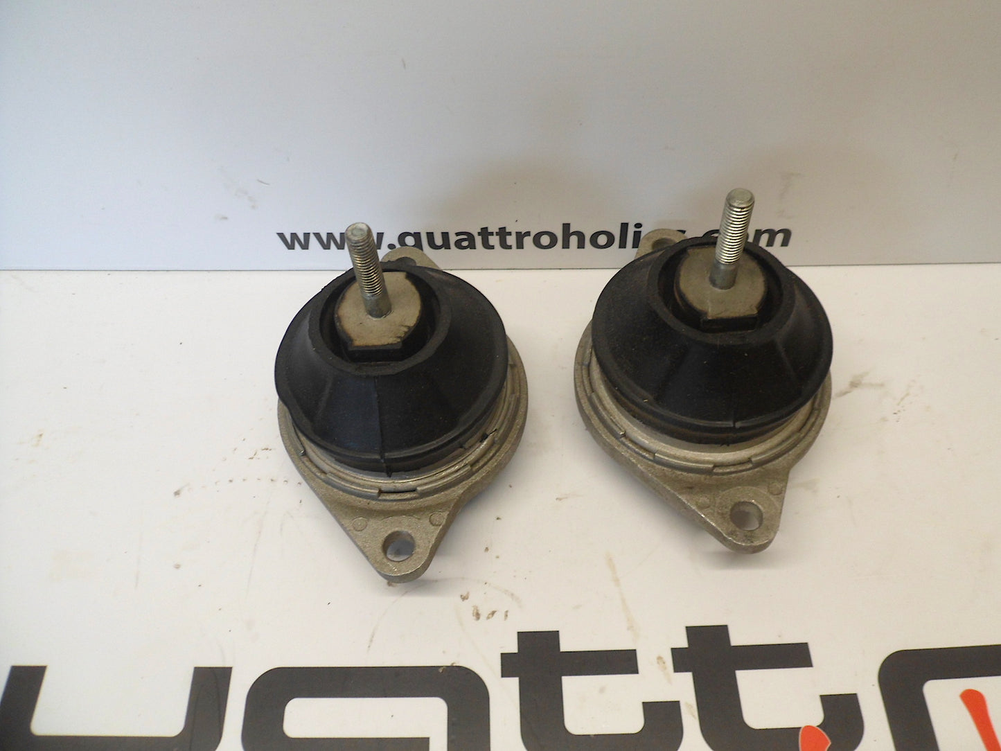Engine Mounts Pair 443199382