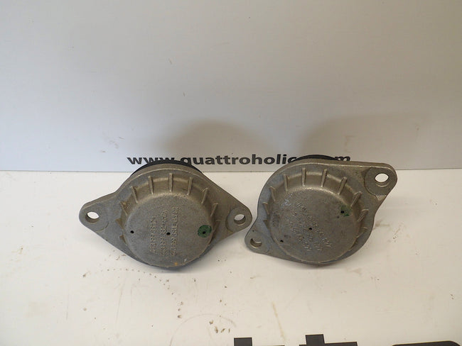 Engine Mounts Pair 443199382